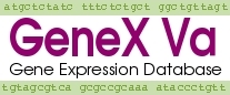 GeneX Va Gene Expression Analysis Database